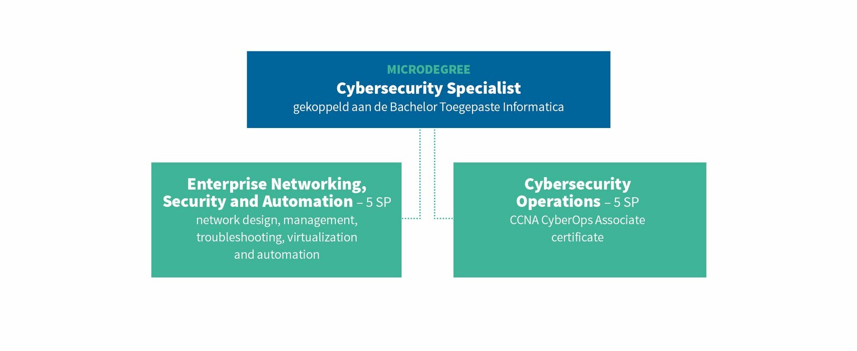 Cybersecurity Specialist schema 1