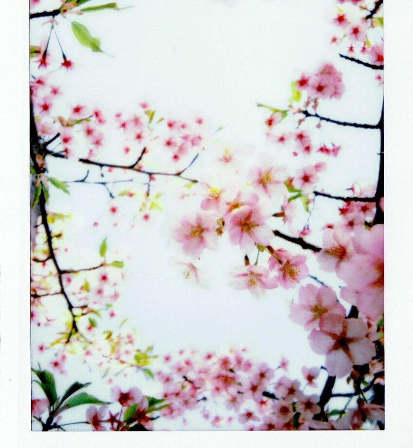 Afbeelding gedicht lente