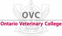 ontario veterinary