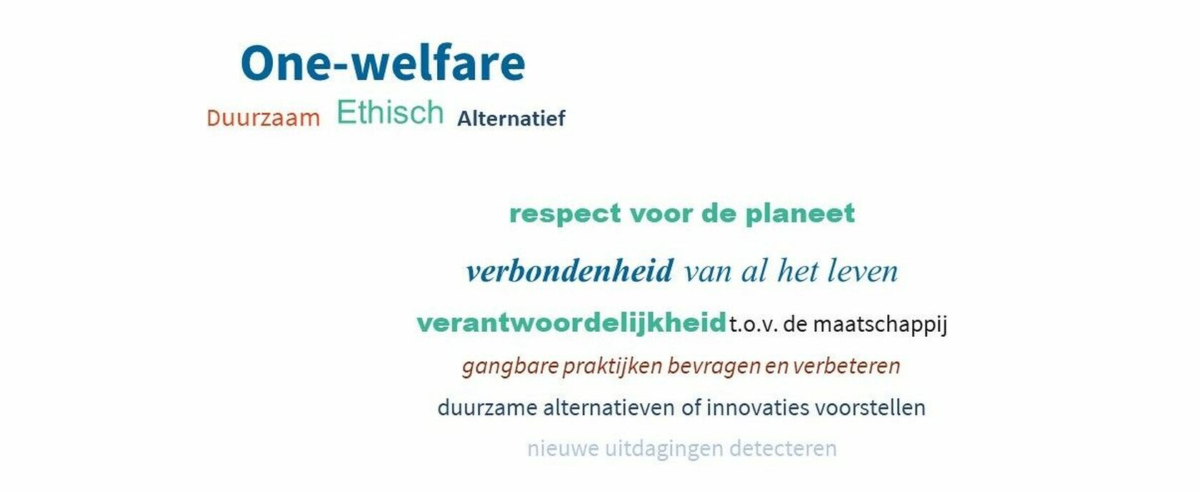 Salto word cloud ons verhaal