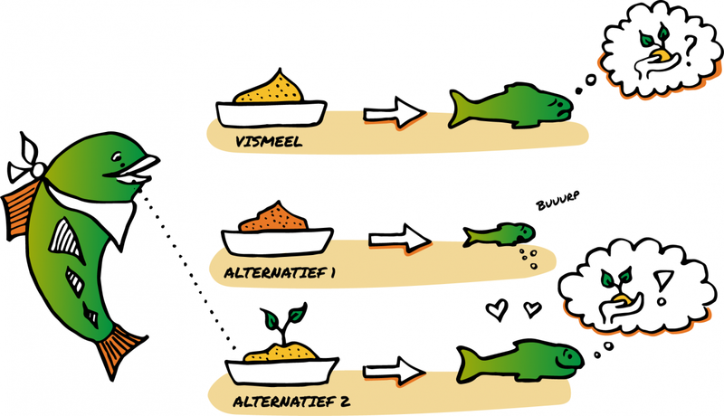 Duurzame voeders voor aquacultuur