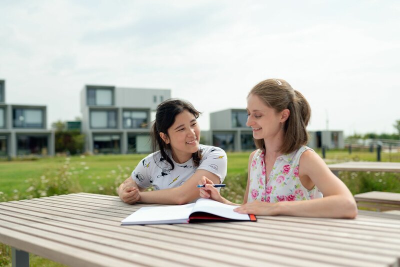tutoring