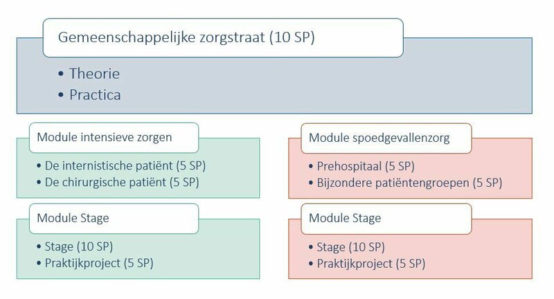 Structuur van de opleidingen