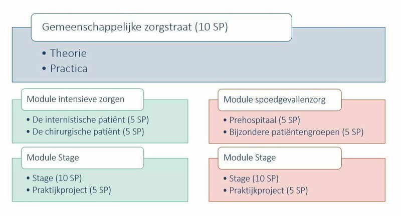 Structuur van de opleidingen