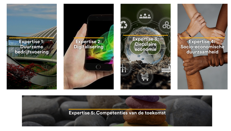 Center for Sustainable Entrepreneurship expertises