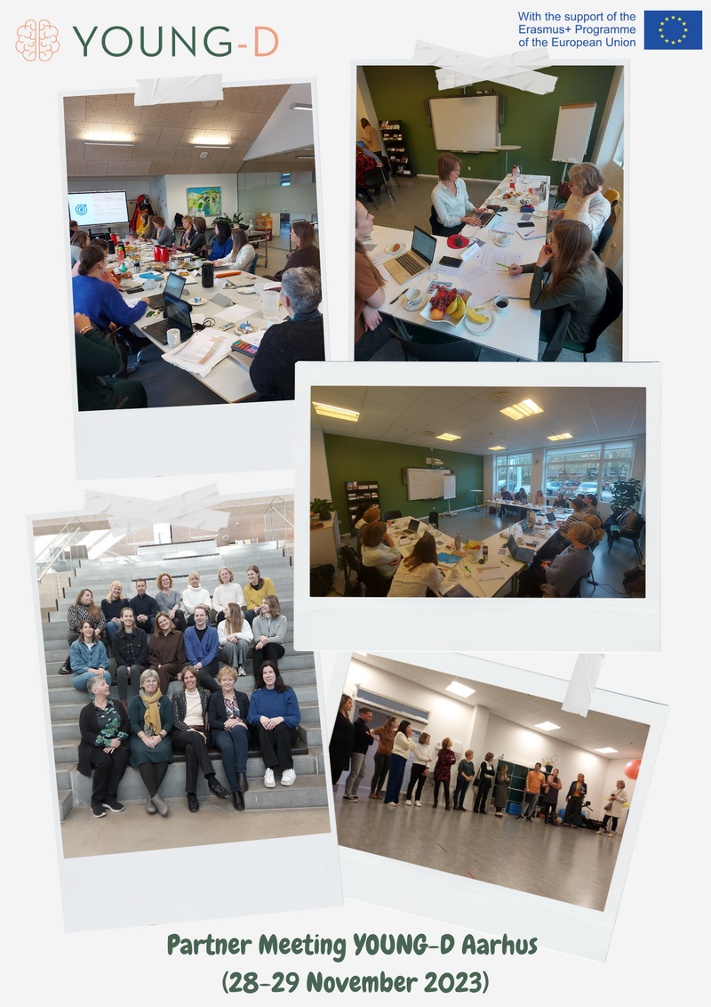 young-d_02_partner_meeting_aarhus.png
