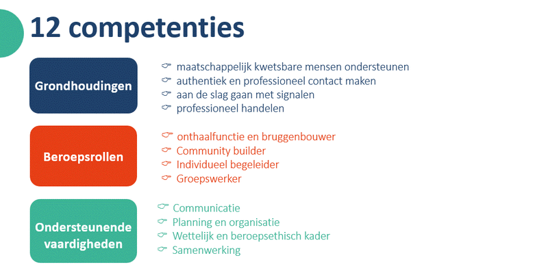12 competenties