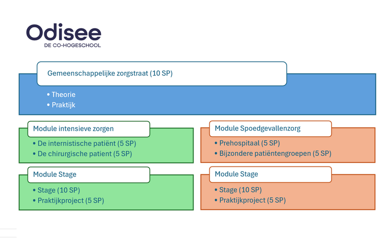 Structuur PG IZ en SPOED - 2526