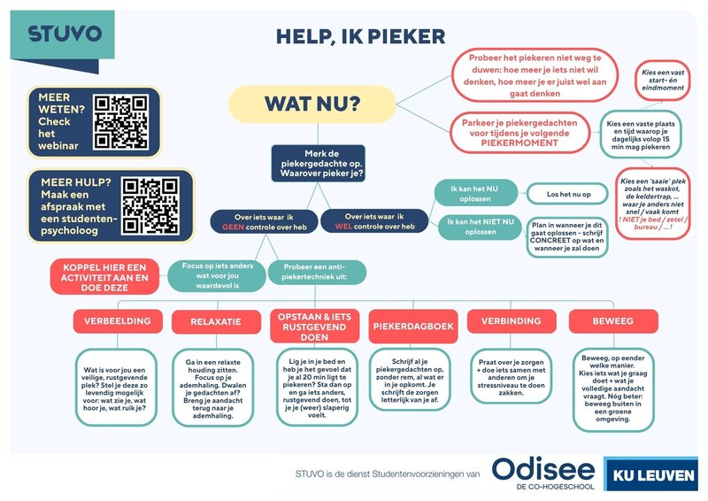 flowchart piekeren (NL)