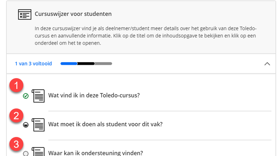 Screenshot van het bijhouden van voortgang in Toledo