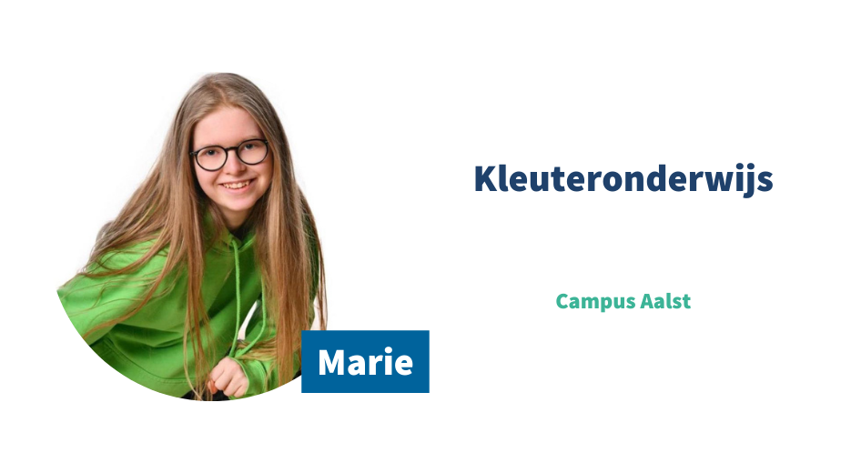 Online ambassadeur