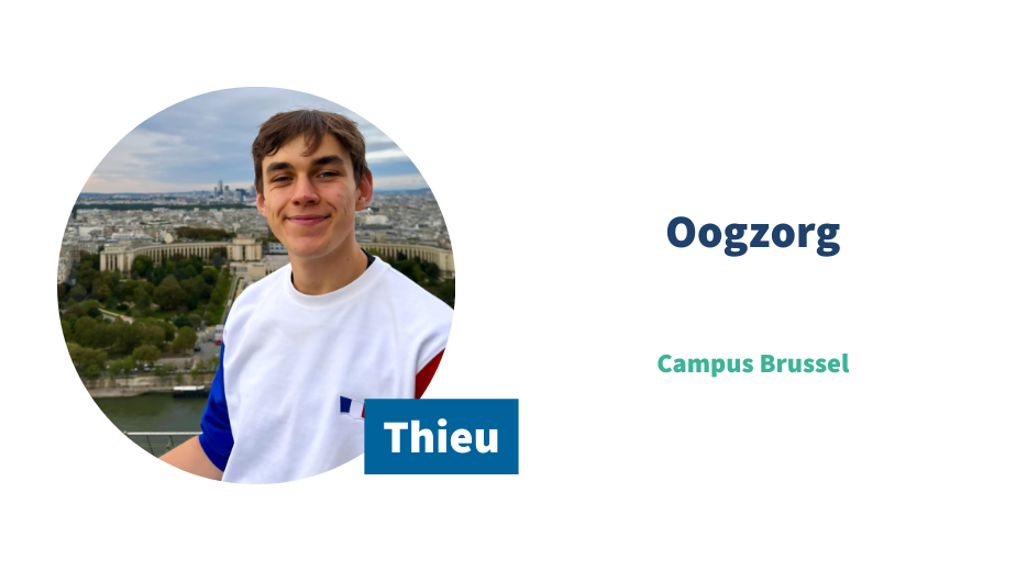 Online ambassadeur