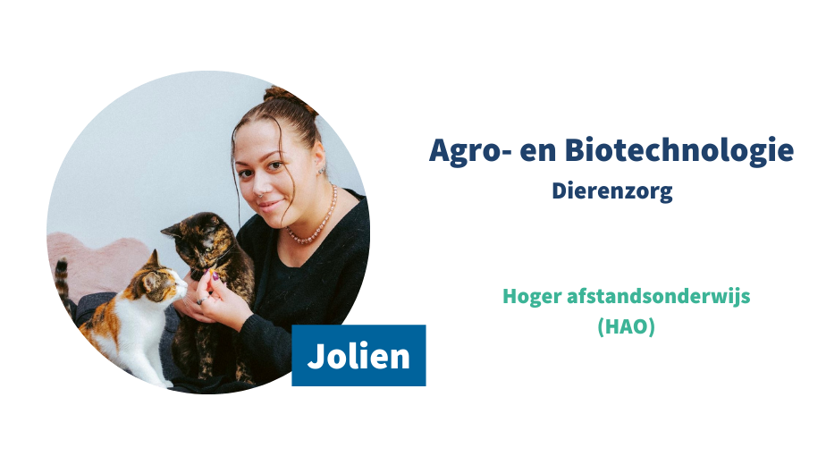 Online ambassadeur