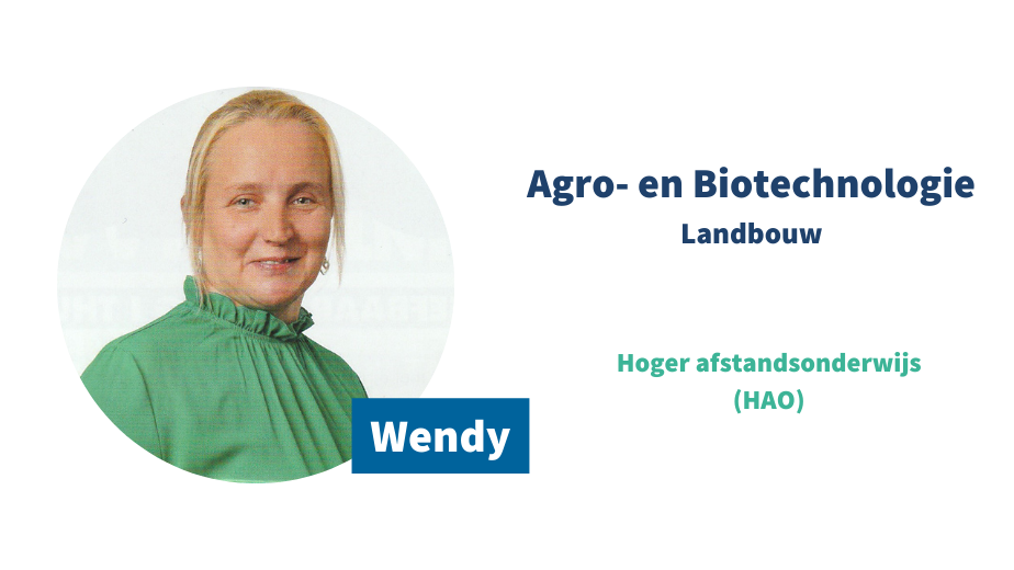 Online ambassadeur