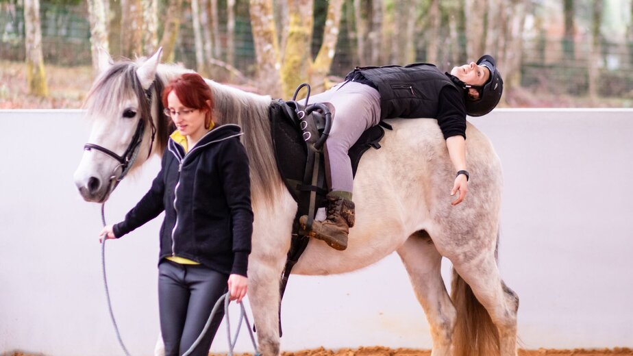 therapie met paarden