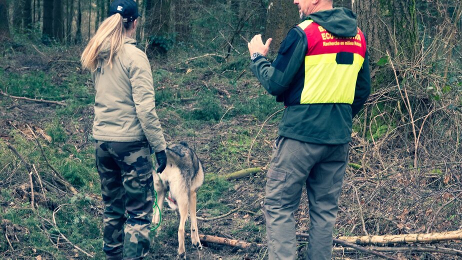 Kadaverzoekhonden