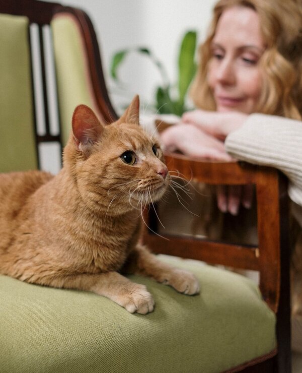 Lady with cat in chair_horizontal